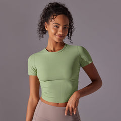 Pale Sage Green